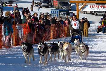 ecx sled dog race
