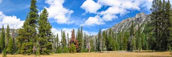 six-mile meadow-tn