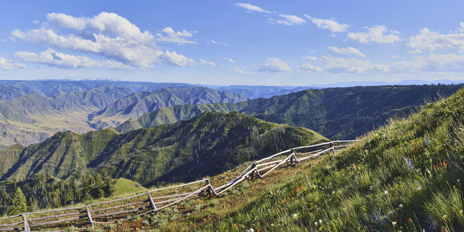 Buckhorn Lookout