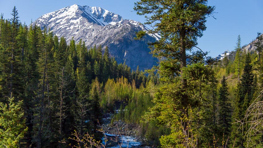hurricane creek trail sacajawea peak